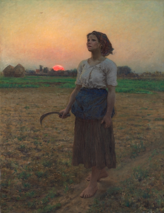 Breton Lark1.jpg